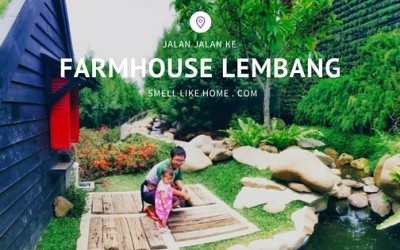 Jalan Jalan ke Lembang Farmhouse Rumah Hobbit