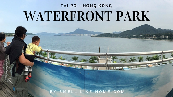 Tai Po Waterfront Park Review