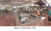 Museum Subak Bali Review