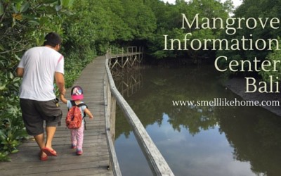Mangrove Information Center Bali