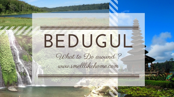 what to do around bedugul