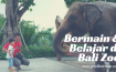 Bermain & Belajar di Bali Zoo