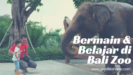 Bermain & Belajar di Bali Zoo