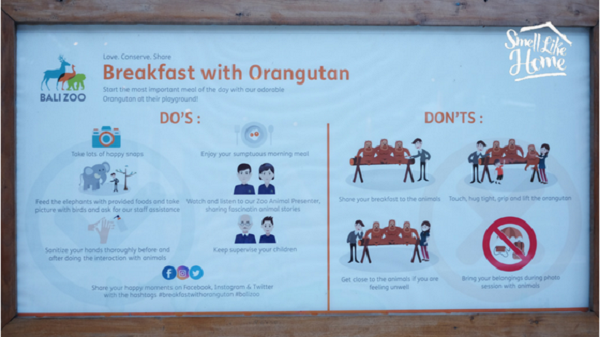 Do and Don't Saat Breakfast with Orangutan