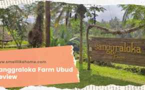Sanggraloka Farm Ubud Review
